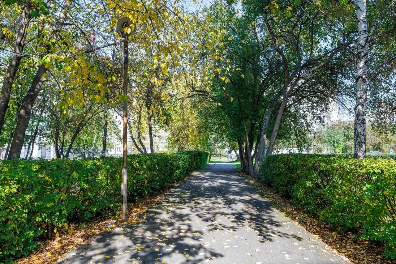 Санитарка суточная