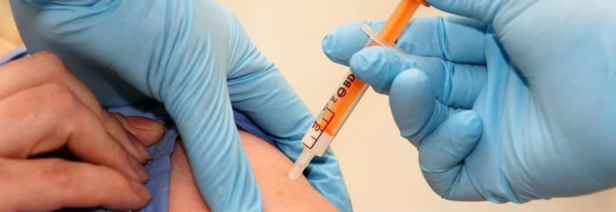 Вакцинация от клещевого энцефалита. Что делать, если утерян сертификат или прививку ставить нельзя Вакцинация от клещевого энцефалита. Что делать, если утерян сертификат или прививку ставить нельзя