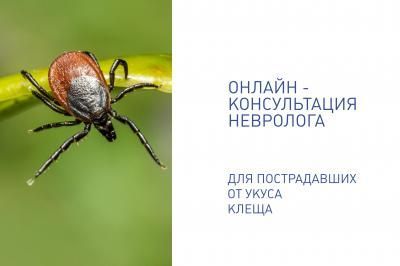Укусил клещ? Спросите невролога онлайн что делать дальше Укусил клещ? Спросите невролога онлайн что делать дальше