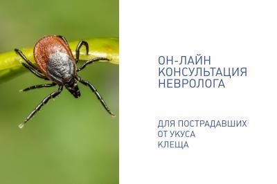 Укусил клещ? Спросите невролога онлайн что делать дальше Укусил клещ? Спросите невролога онлайн что делать дальше